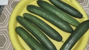 Каталог цен / Дикси / Пятерочка / Чижик / Фикс прайс