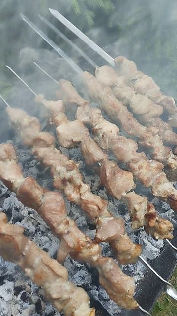 Шашлыки дома