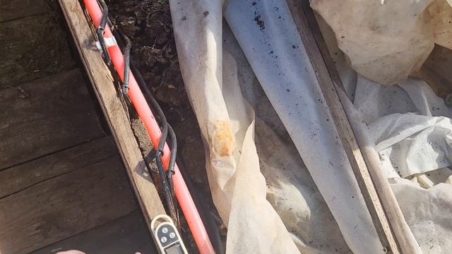 Мои будниайсберг взошелспасла замиакулькасобстановка на даче