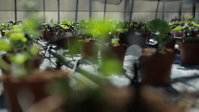 NaanDanJain внешняя капельница для капельного полива Clictif