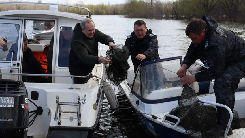 Всероссийский день без сетей в Самарской области