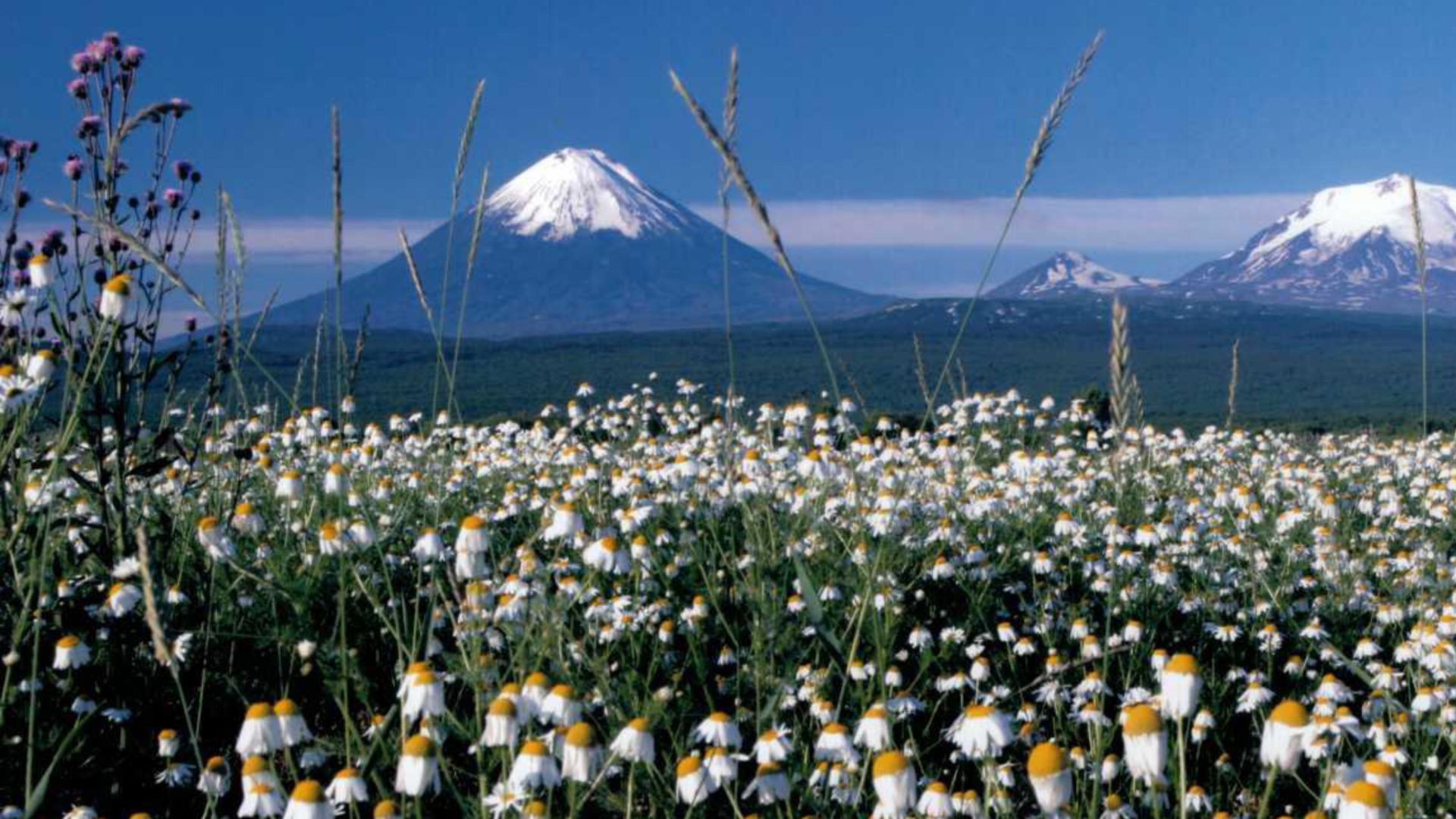 вулкан Ключевской