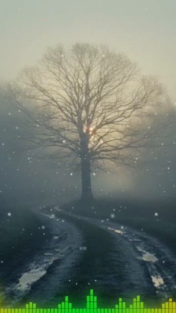 Пока мы живы...