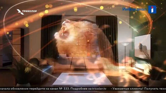 Триколор Телеинструкторэфир 2021