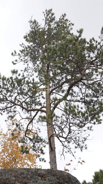 Наши волонтеры  это сила 