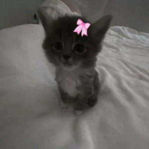 математика