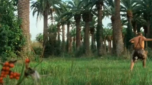 Чистовой вариант класса Люкс! 