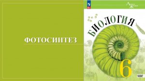 Урок 22. Фотосинтез