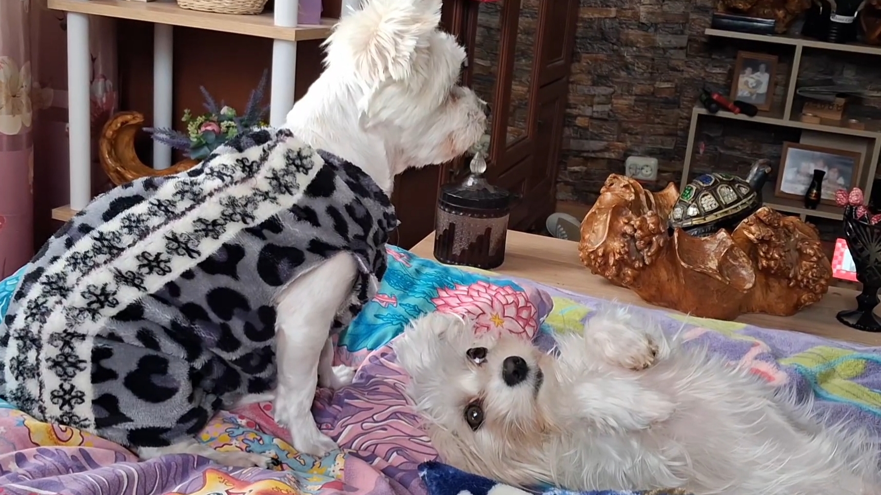 Решила себе день лодыря устроить...но не получилось...