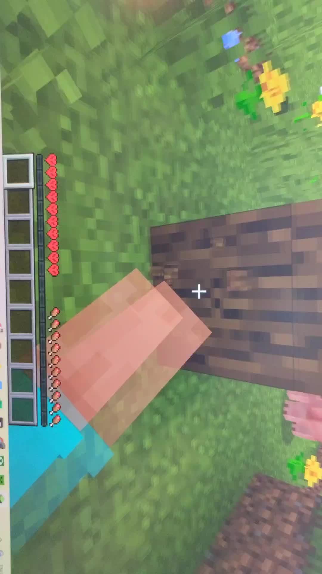 спедран по майнкрафту