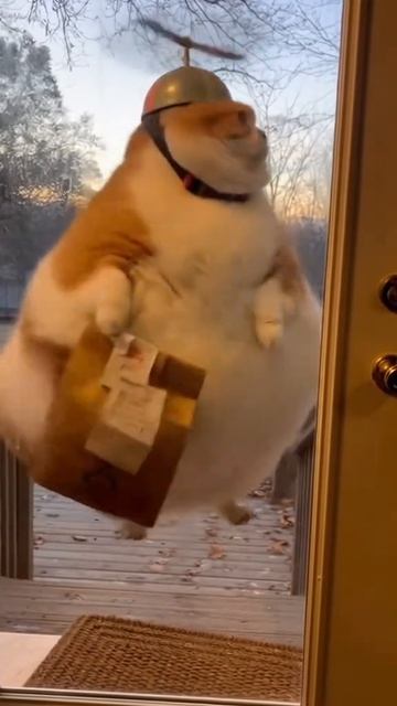 Карлосон уже не тот 😂😂😂