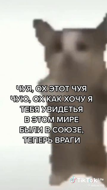 С днём рождения чуя!