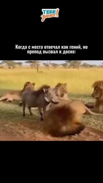 Мы так не договаривались