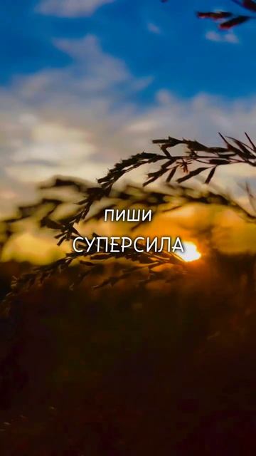 Мысли вслух