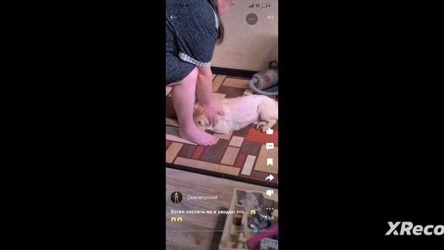 разоблачение бублика 26к (первая часть разоблачение бублика 26к)