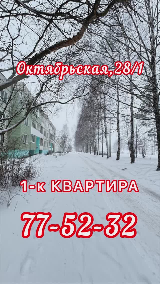 Костино ул. Октябрьская 281