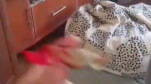 конфеты ботоньчики