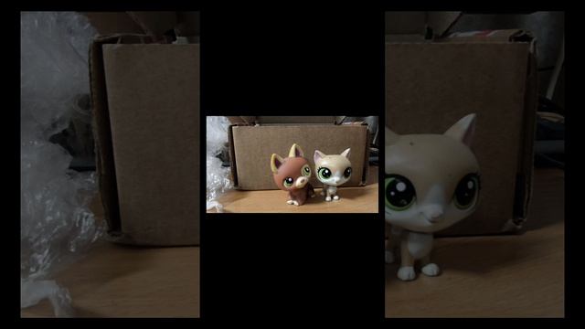 купила 2 оригинальных петов и украшение для них все мои петы были 3д