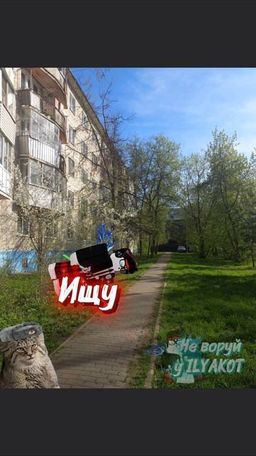 Перевыпуск 3 раз
возвращаем тренд 2024