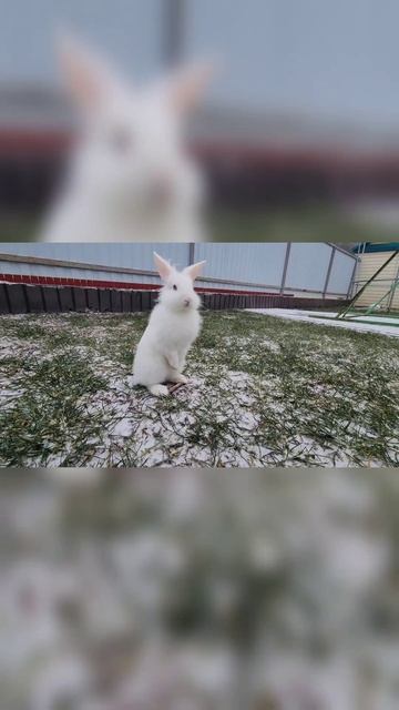 Добро пожаловать!🤗