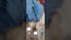 3613.mp4