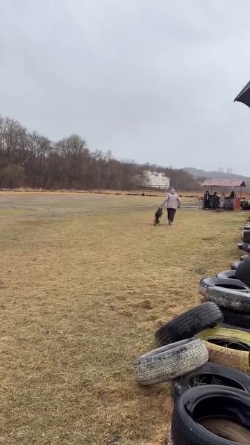 5.  выражено/перв ТИИМ АЛЛЕМО ХАУС АКСЕЛЬ (Team Del Sol Nascente Ekaraj – Аллемо Хаус Тьюна)