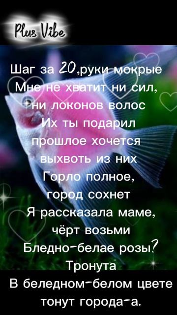 Вау😇✌️💜