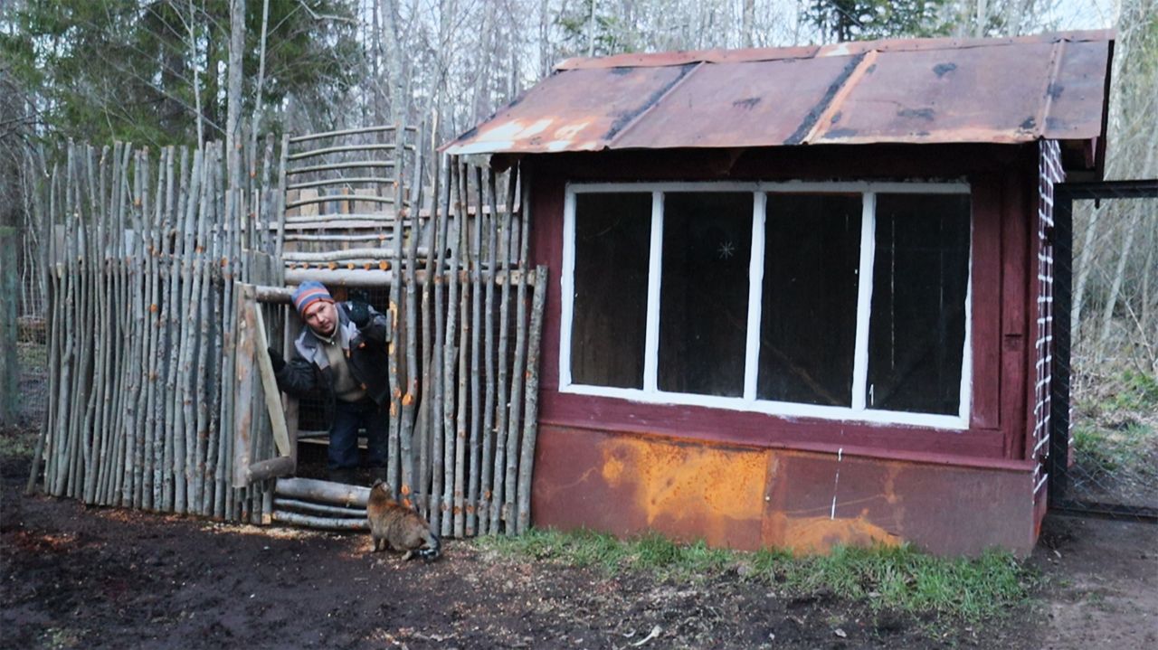 Строю Закрытый Выгул для Куриц!