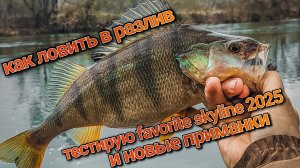 Как ловить в половодку | Тестирую NEW favorite skyline 762l и новые приманки | Джиг на весеннем Дону