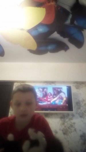 поговорим о моих животных🤗