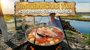 Как нас провожали в Вилково / Уха 3 карася + 16 кг голова Липованский Деликатес