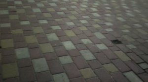 вечерний небольшой влог