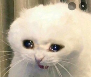 ВЫЗВАЛА САМАРУ ИЗ ЗВОНКА