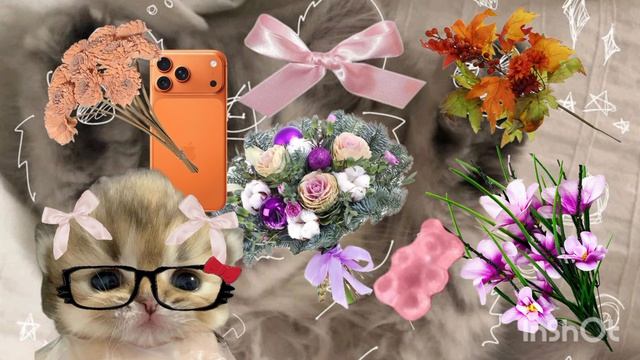 много новых видео