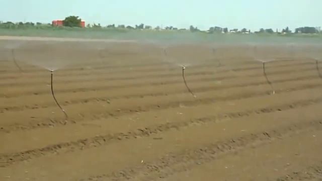 Cпринклер AquaMaster NaanDanJain Работа в поле