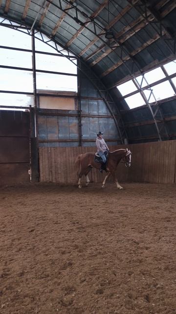 Анна и Каспер, галоп по стенке, диагональ с переходом в рысь в Х.