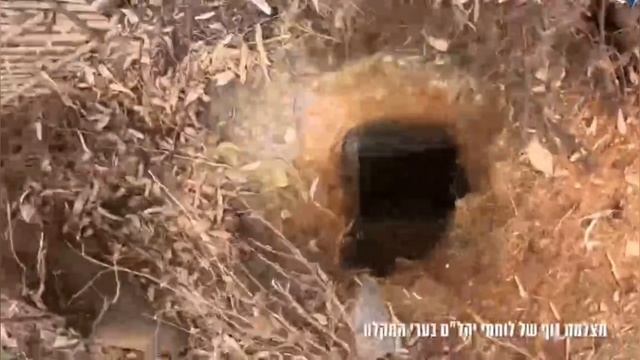 Сводка от сегодняшнего дня 
29 апреля 2026г. из официальных источников в России и за её пределах.