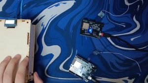 проект «Кнопка жизни»