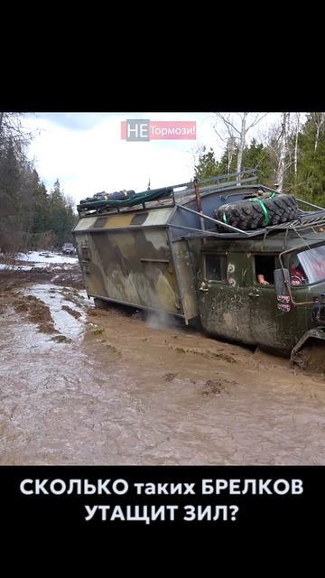 ЗИЛ 131 ЛОНГ буксирует джиперов на асфальт зил нива