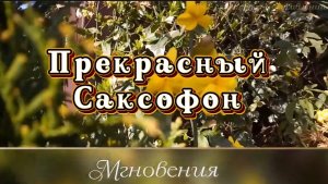 Прекрасный саксофон, удивительно красивая музыка для души