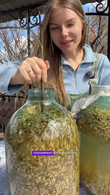 Рецепт белого кваса уже на странице! 🤩 #квас #рецепт