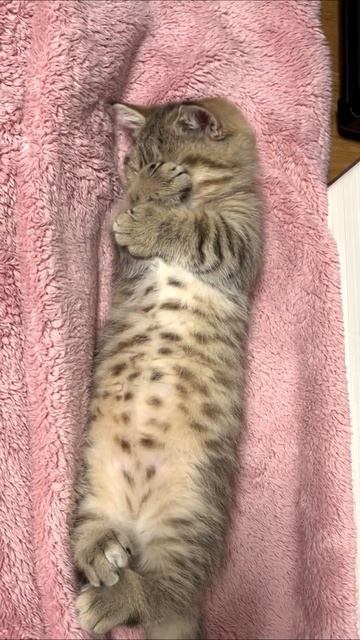 Будильник уходи