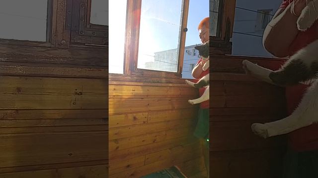 Вид с балкона 