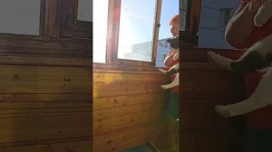 Вид с балкона ☺️