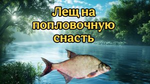 Рыбалка, лещ на попловочную снасть