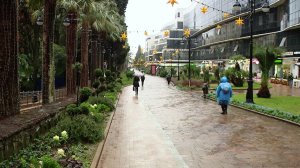 В Сочи ожидается затяжная пасмурная погода