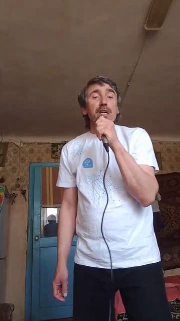 Звезда по имени солнце  cover К.В.В