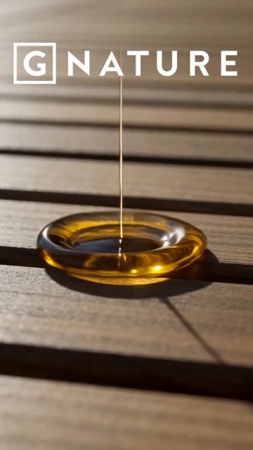 GNATURE - Выбирай правильное решение для защиты дома!