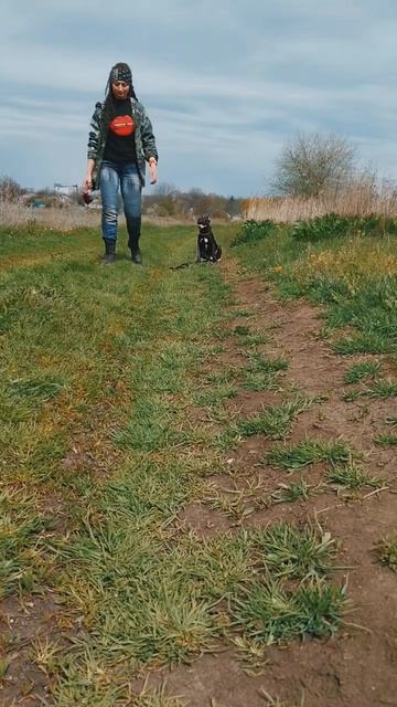 Дрессировка от Нагорной Е