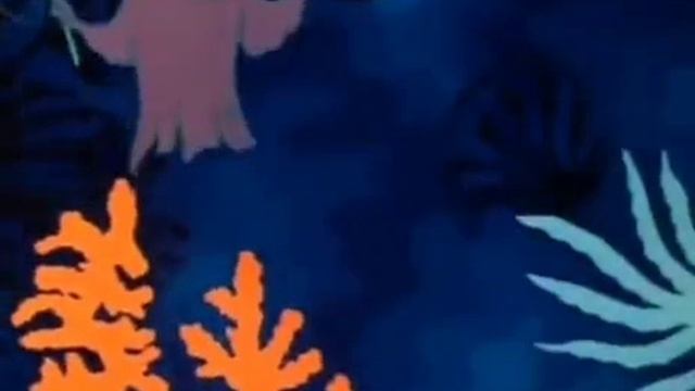 осьминожки